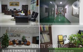 Shenzhen Gluck Lighting Technology Co., Ltd. company overview - view 2