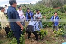 Yunnan Changshengda Coffee Co., Ltd. company overview - view 3