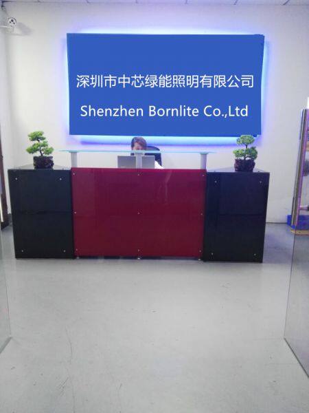 Shenzhen Bornlite CO.,LTD company overview - view 1