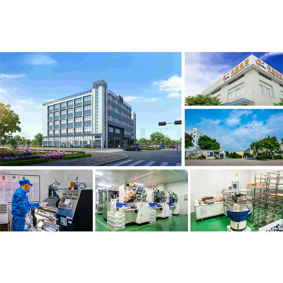 Foshan Shunde Kesheng Electronic Co.,Ltd company overview - view 1