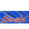 Cangzhou Sensda Hardware tools Co.,Ltd
