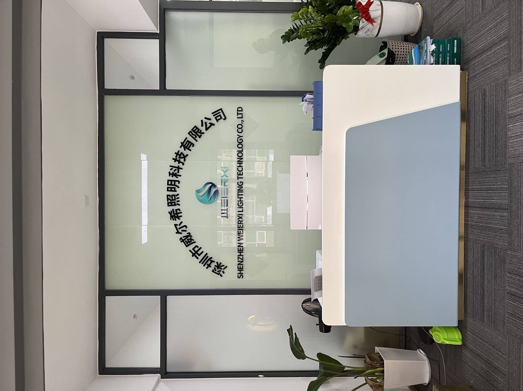 Shenzhen Weierxi Lighting Technology Co., LTD company overview - view 1
