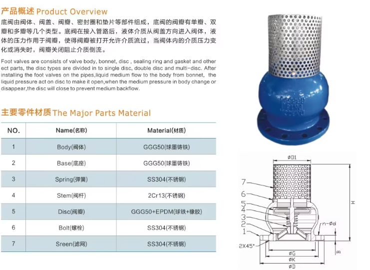 JIS/ANSI/DIN Foot Valve Cast Iron GGG50 Ductile Iron Flange Stainless Steel Filter Strainer Water Pump