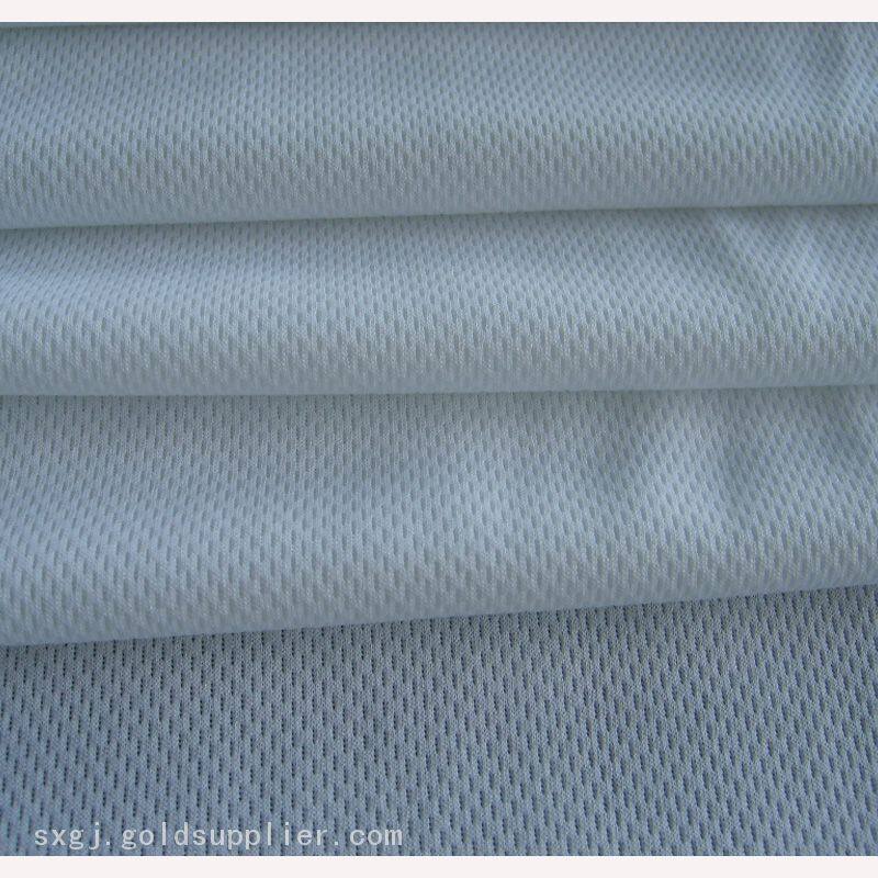 Bird Eye Mesh Fabric_07_8