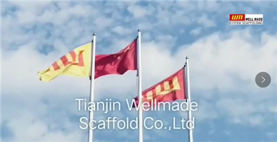 Tianjin Wellmade Scaffold Co., Ltd. company overview - view 1