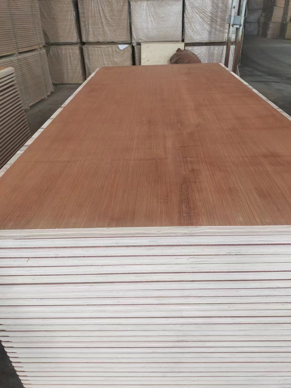 微信图片_20240407145047