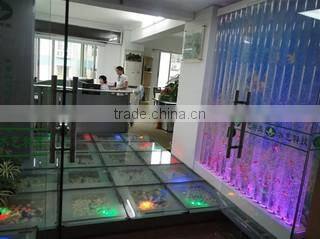 Guangzhou Water Art Fountain Irrigation Garden Co., Ltd. company overview - view 2