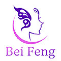 Hebei Beifeng Technology Co., Ltd.