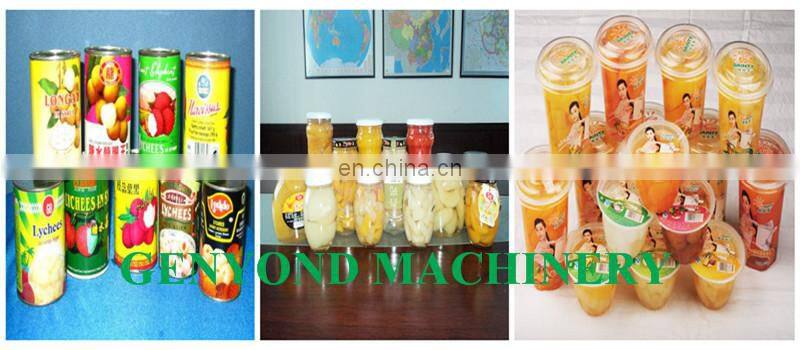 Small scale canned mandarin orange processing plant