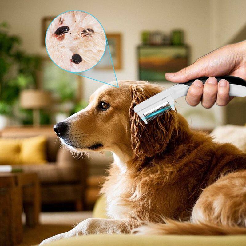 Electronic Flea Comb: A Safe & Effective Solution for Pet Flea Control