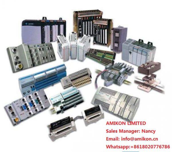 Amikon Limited company overview - view 1