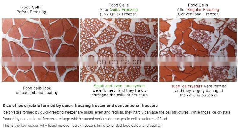 Tunnel freezing and flash freezing machine food with nitrogen
