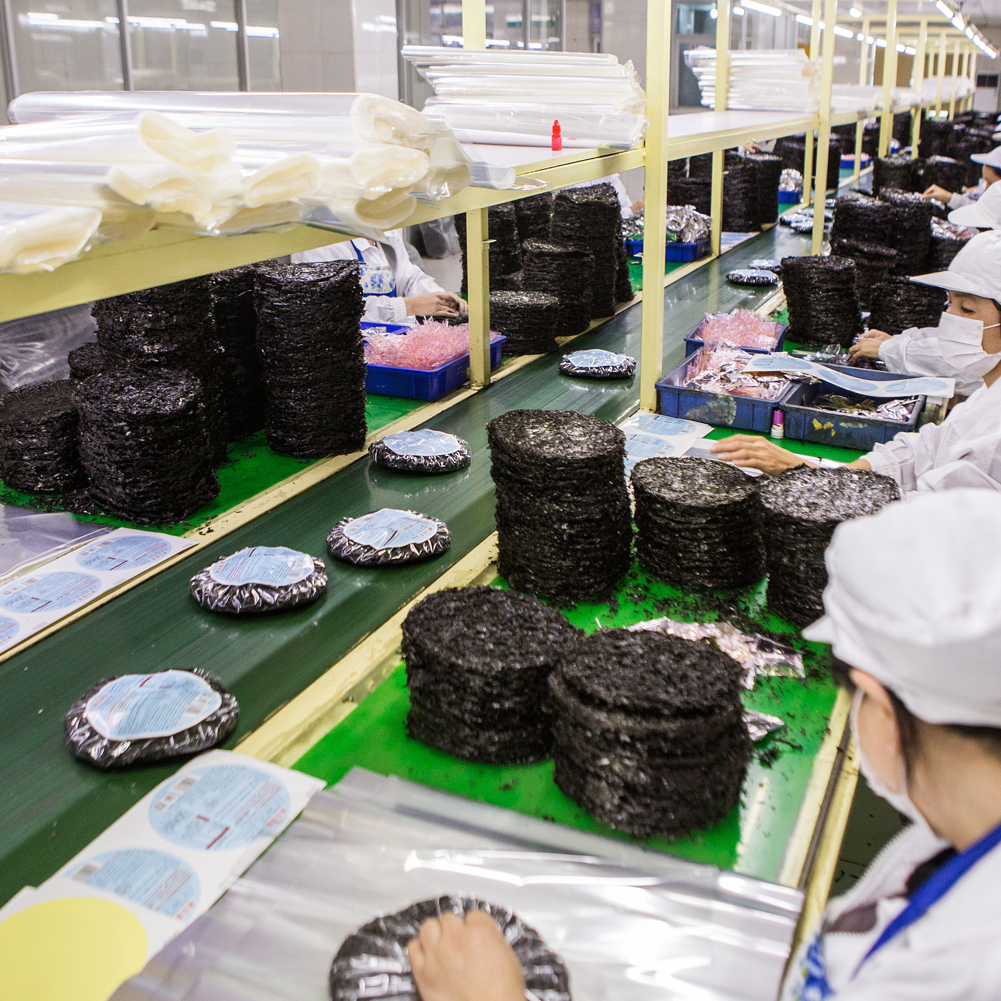 Shantou Jiasheng Food Technology Co.,Ltd. company overview - view 3