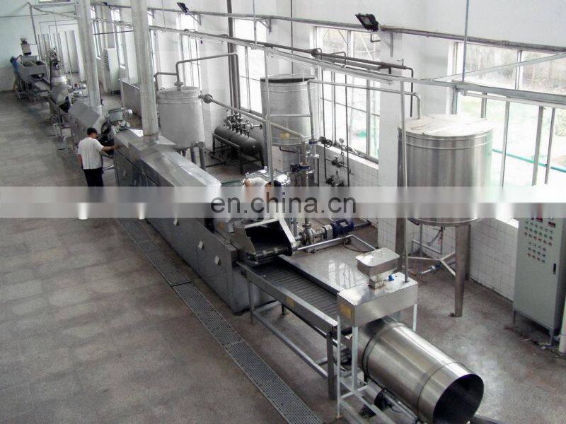 fried french fries production line