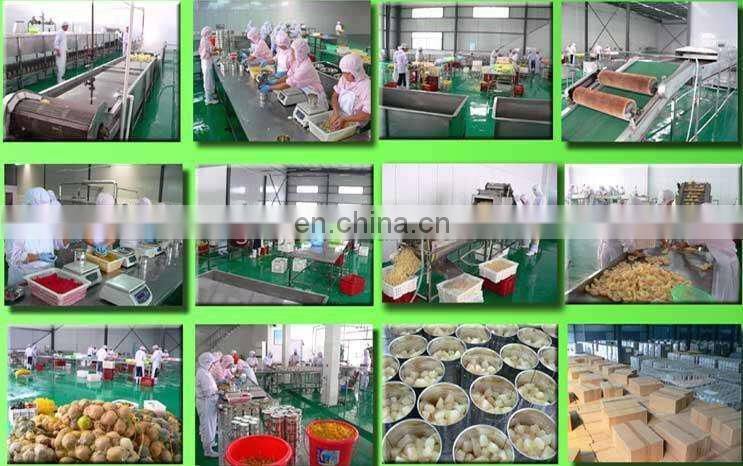 Canned Fruit Cocktail Processing Production Line