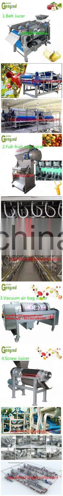 Small machine to make juice powder with factory price