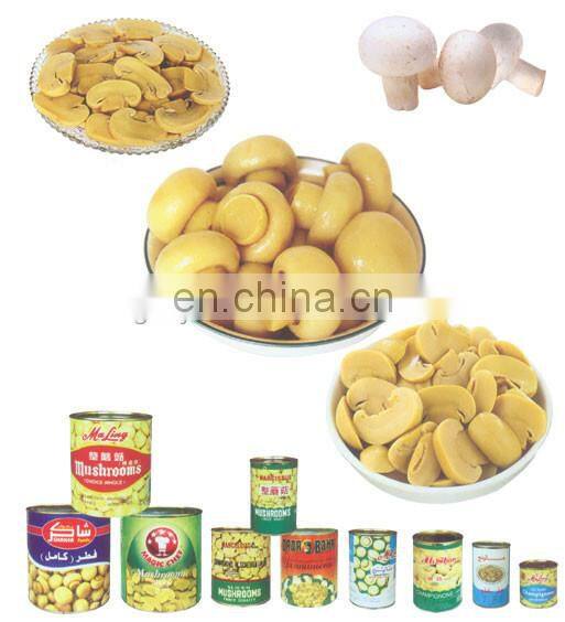 canned mushroom production line