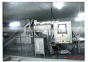 Shouguang Tiancheng Hongli Food Co., Ltd. company overview - view 4