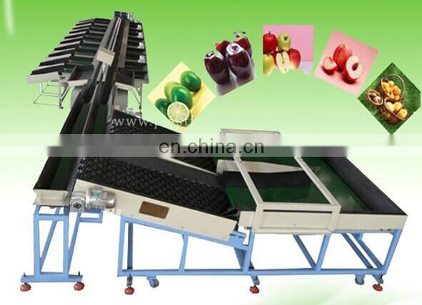 Factory Passion Fruit roots citrus apple Processing Avocado Onion Size grader sorter Grading Sorting Machine