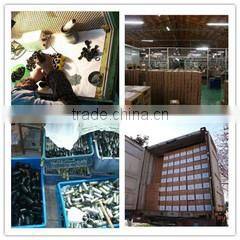 Danyang Xinyi Instruments Optical Co., Ltd. company overview - view 2