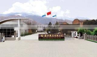 Shaanxi Hanjiang Machine Tool Co., Ltd. company overview - view 1