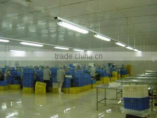 Qingdao Sino-World International Trading Co., Ltd. company overview - view 1