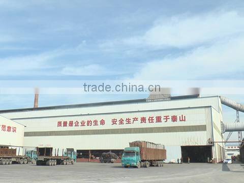 Tianjin Qiangbang Industrial Co., Ltd. company overview - view 1