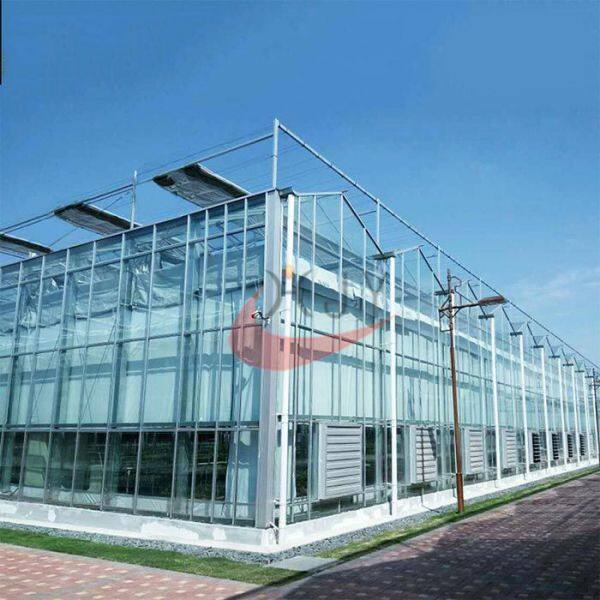 Xinghua Jinyi Greenhouse Equipment Co.,Ltd company overview - view 2