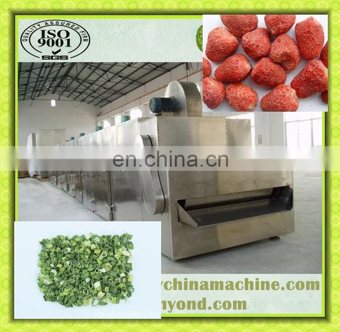 DW Series Mesh Belt Dryer Fruit and Vegetable Dryer