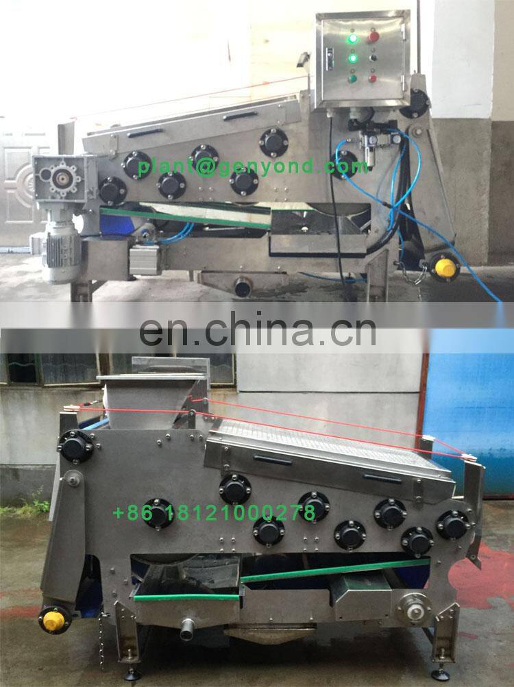 belt type high juice yield fruit juicer machine