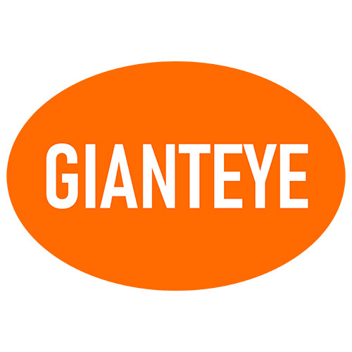 Shenzhen Gianteye Technology Co., Ltd. company overview - view 1