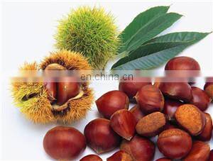 Date palm sorting and cleaning machine/sorting system