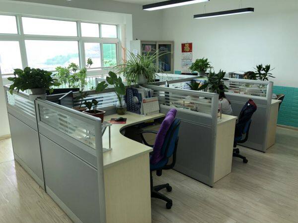 Jinan Gogo International Trade Co.,ltd company overview - view 2