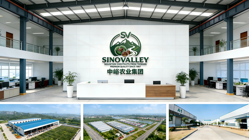 Shoptop 手机端横幅显示不全及解决 (1)