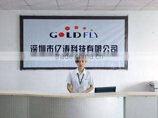 GoldFly Technology Company Limited company overview - view 3