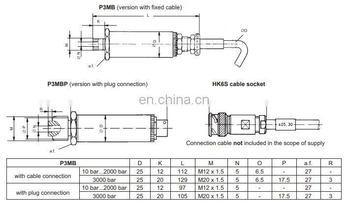 BlueLine High Pressure Measurement Transducer P3MBP/1000BAR