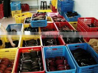 Shanghai Ocean International Corp., Ltd. company overview - view 2