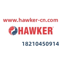 HAWKER POWER SUPPLY CO,LTD