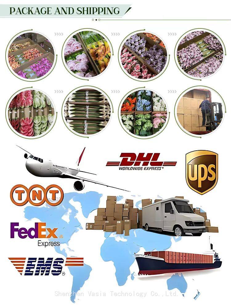 hydrangeas PACKING.jpg