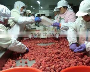 Qingdao Elites-United Foodstuff Co., Ltd. company overview - view 3