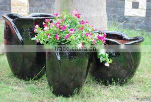 Tia Sang One Member Company Limited company overview - view 2