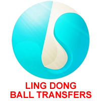 Xinghua Lingdong Ball Transfer Unit Factory