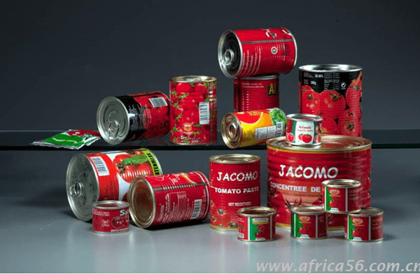 Dingang (Shandong) Food Co.,LTD company overview - view 2