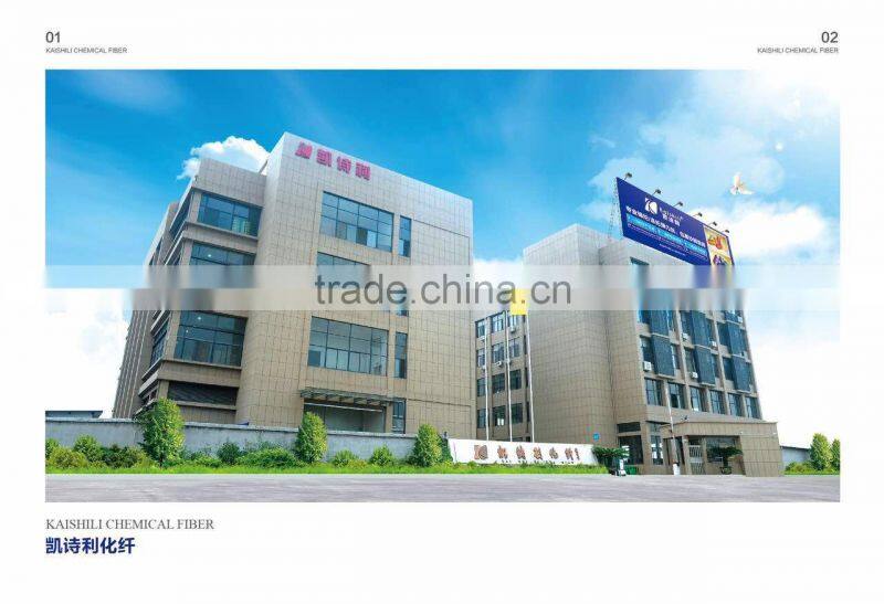 Zhejiang Kaishili Science And Technology Co., Ltd. company overview - view 1