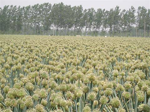 Zhangqiushilianguandacongliangzhongxiaoshoubu company overview - view 3