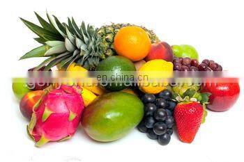 vegetable washing machine