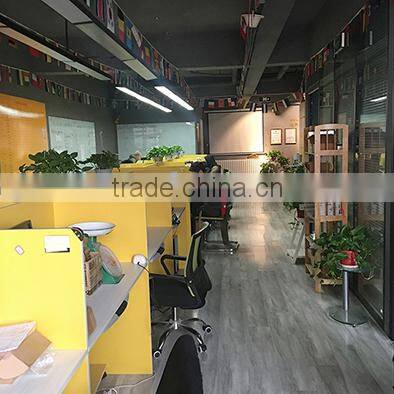 Beijing Shengshihuaneng International Trade Co., Ltd. company overview - view 1
