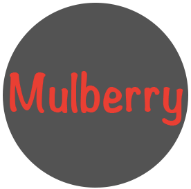 Mulberry Technology (Shenzhen) Co., Ltd.