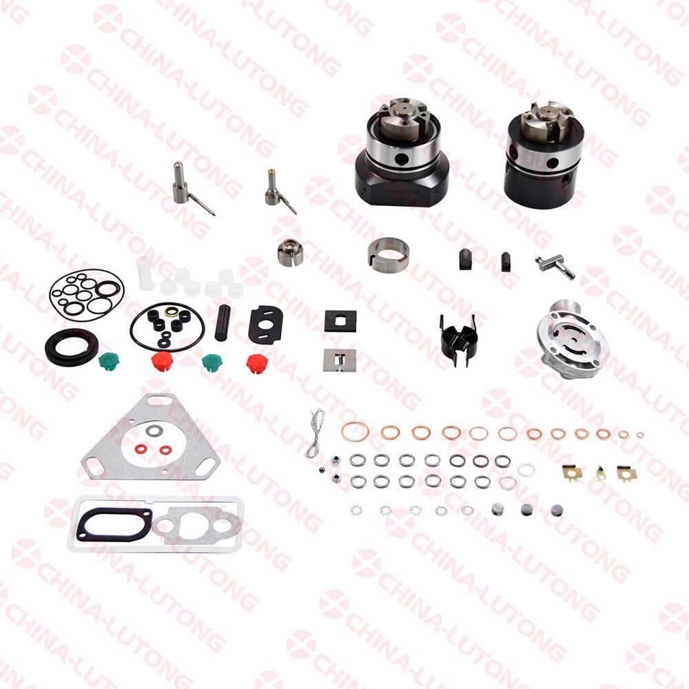 delphi-diesel-spare-parts (2).jpg