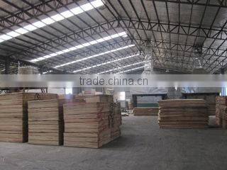 Linyi Suneast Imp & Exp Co., Ltd. company overview - view 3